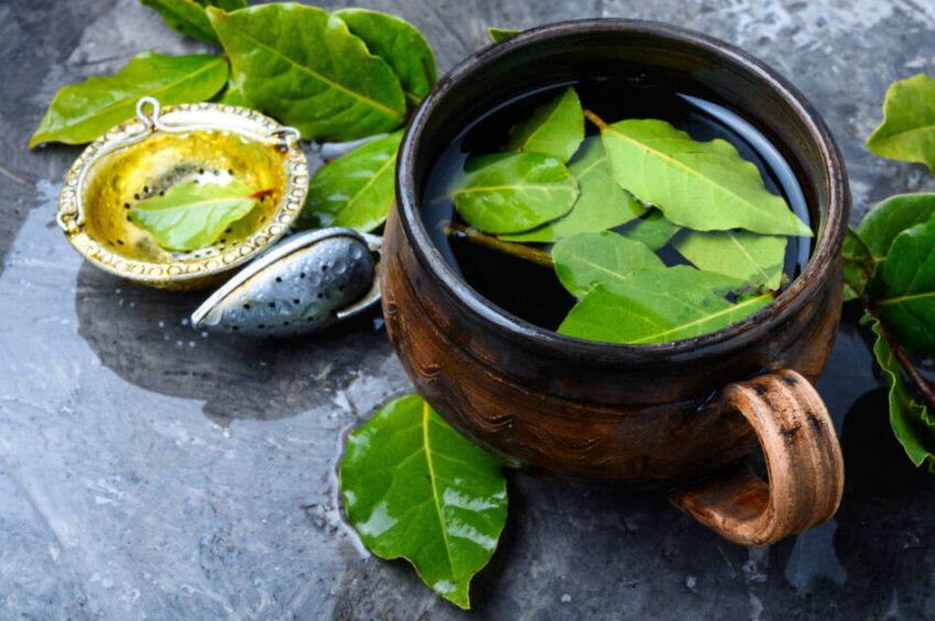 Herbal tea with bay leaf. Brewed delicious herbal tea