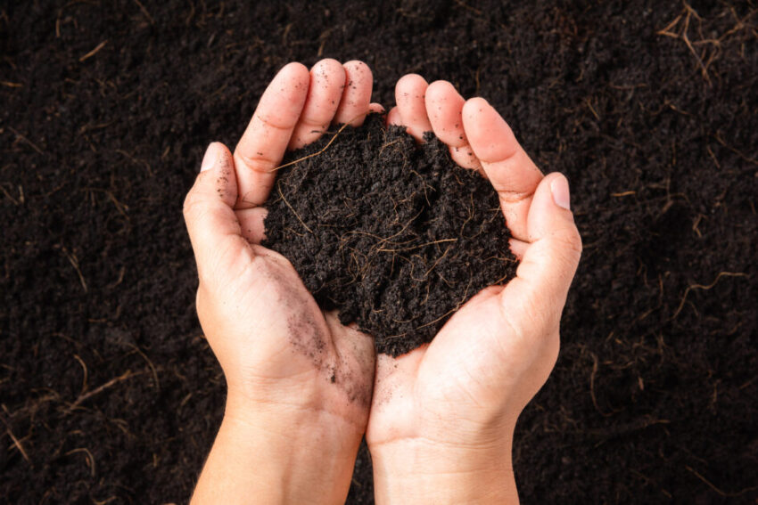 Woman hand holding compost fertile black soil background