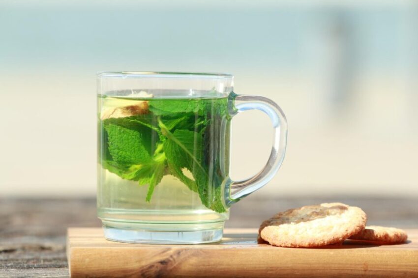 Peppermint tea with green leaves and cookies in front of a beach as a close-up