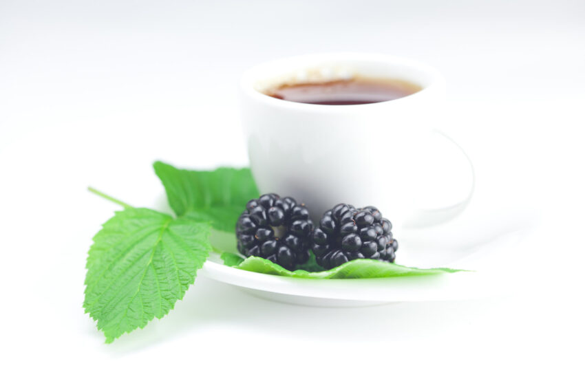 Cup of tea and blackberry with leaves