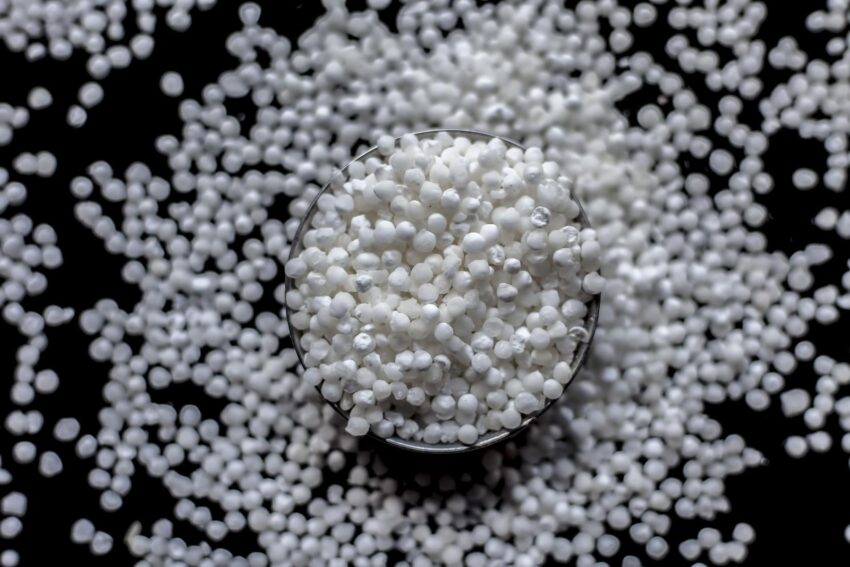 Close up shot of raw sago pearls or tapioca pearls in a glass plate on a black colored surface.