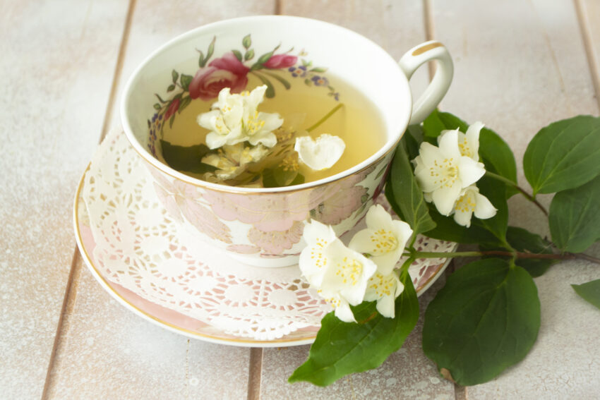 A cup of green tea with jasmine flowers. Fresh jasmine branches. Vintage classic cup