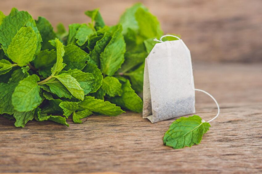 Tea bags on wooden background with fresh melissa, mint. 
