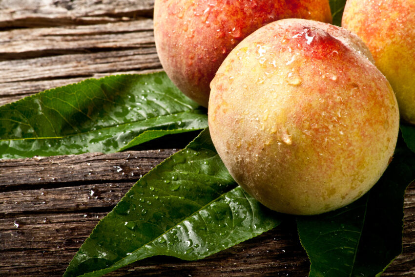 Some fresh withe peaches with leaf on woodS